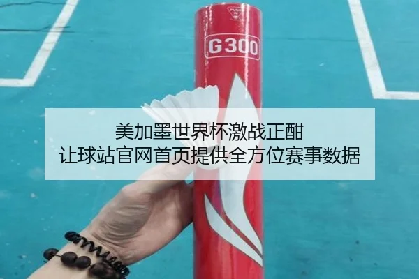 美加墨世界杯激战正酣 让球站官网首页提供全方位赛事数据